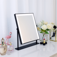 Advanced metal frame table frosted led cosmetic mirror