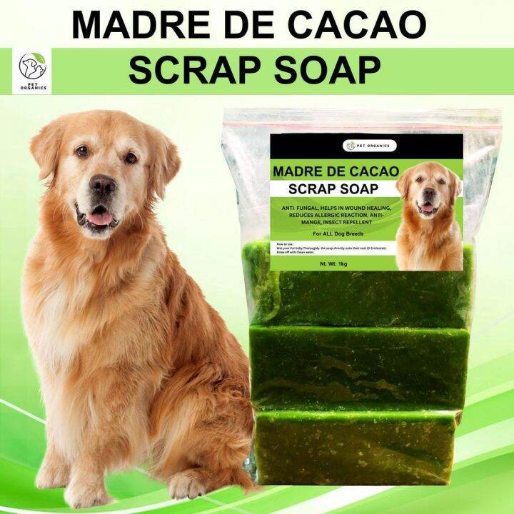 Madre de cacao Scrap Soap 1kg for all dog breeds helps in wound healing ...