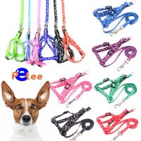 Small Dog Cat Harness Leash Adjustable Vest Collar Puppy Outdoor Walking Chihuahua Terier Schnauzer