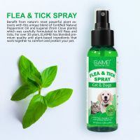 spot ELAIMEI flea repellent spray for cats and dogs hairy children in vitro spray tick plant spray