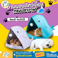 ที่นอนแมวราคาถูกๆ พร้อมส่ง ที่นอนแมวปลาวาฬ ที่นอนแมว บ้านแมวที่นอนแมว ที่นอนแมวสำหรับทุกฤดูกาล ที่นอนแมวช่วยให้อบอุ่นในฤดูหนาว อุปกรณ์สำหรับสัตว์เลี้ยง เตียงนอนแมว บ้านแมว มีบริการเก็บเงินปลายทาง