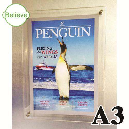 A3 Wall Mounted Clear Acrylic Paperweight Photo/Certificate Frame with