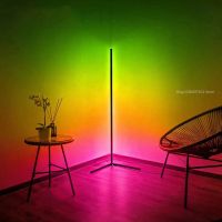 Modern Led Floor Lamp RGB Nordic Floor Lamps Living Room Metal Line Lights for Home Ambient Light Colored Neon Sign Room Decor Night Lights