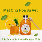 Mật Ong Hoa Sú Vẹt Rừng Ngập Mặn Vườn Quốc Gia Xuân Thủy. Nguyên Chất