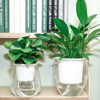 【YF】✿❦☁  Plastic Watering Pot Transparent Flowerpot Practical Succulent Absorption Vase