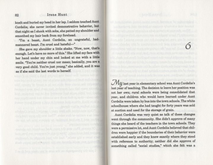 english-original-up-a-road-slowly-strolling-on-the-road-newbury-gold-award-childrens-classic-literary-novels-teenagers-extracurricular-reading