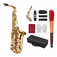 Saxophone Sax Eb Be Alto E Flat Brass Carved Pattern on Surface Plastic Mouthpiece Exquisite with Gloves Cleaning Cloth Brush Straps