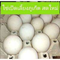 ไข่เป็ดสดทุกวัน ปลอดสาร จาก​ฟาร์มอินทรีย์ จ.ภูเก็ต