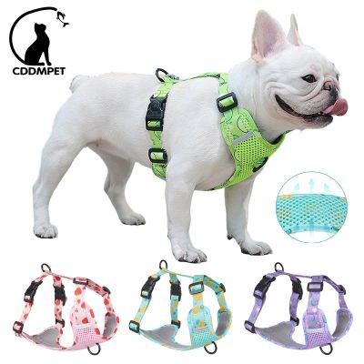 No Pull Dog Harness Vest for Medium Large Dogs Cute Fruit Print Webbing Big Dog Harness Breathable Mesh Chest Strap Pet Supplies