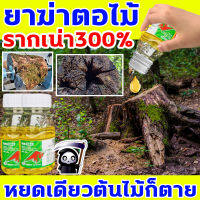 เกษตรกรต้องมี ยากำจัดต้นไม้ DISOUR รากไม้เน่า300% สารกำจัดตอไม้ ยาฆ่าต้นไม้ ไม่มีสารตกค้างไม่เป็นอันตรายต่อคนและสัตว์เ ป้องกันกำจัดโรคพืช ฆ่ากอไผ่ตายยันรากได้ผล(ยาฆ่าต้นไม้ใหญ สารกำจัดกอไผ่ สารกำจัดก่อไผ่ กำจัดต้นไม้ ยาฆ่าตอไม้ ยาฆ่าตอต้นไม้ กำจัดราก)