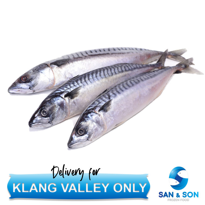 Ikan Selayang 1KG± per packet (Sardine) San and Son Frozen San&Son Lazada