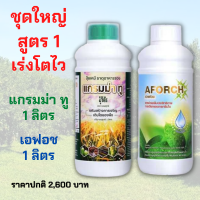 ชุดเร่งโตไว เอฟอช สารจับใบ+ปุ๋ยน้ำแกรมม่าทู ขนาด 1 ลิตร ปุ๋ยน้ำสูตรบำรุงต้น ปุ๋ยน้ำเร่งการเจริญเติบโต ต้นแข็งแรง