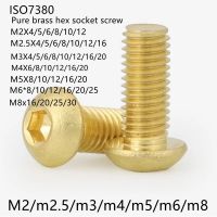 2-20pcs ISO7380 ทองเหลืองสกรูหัวปุ่ม M2 M2.5 M3 M4 M5 M6 M8 ทองเหลืองบริสุทธิ์ HEX ซ็อกเก็ตซ็อกเก็ตซ็อกเก็ตรอบสกรูหัวหมวกกลมสลักเกลียว-Faewer