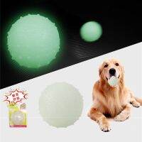 Durable Pet Luminous Ball Rubber Bite Resistant Squeeze Toys Seal No stress Fluorescence Dog Gifts Puppy Interactive Supplies Toys