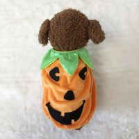 Unique Pet Pumpkin Outfit Pet Halloween Costume Spooky Pumpkin Pet Costume Adjustable Comfortable Halloween Clothes for Cats