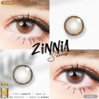 คอนแทคเลนส์ WE Wink Zinnia(Gray,Brown) ค่าสายตา 0.00 ถึง -10.00