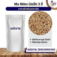 Mix Millet มิลเล็ตรวม อาหารนกเขาเล็ก อาหารนก กระต่าย หนู กระต่าย กระรอก ชูก้า และสัตว์ฟันแทะ (แบ่งขาย 500G / 1KG)