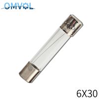 10PCS  6*30mm glass fuse  250V  0.2 0.5A 1A 2A 3A 4A 6A 7A 8A 10A 15A 20A 25A 30A Electrical Circuitry Parts