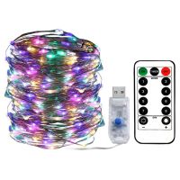 Waterproof copper and silver decorative lights, with Valentines Day remote control, 100 led fairy lights, 5V USB starlight