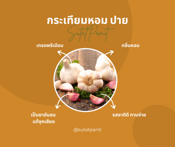 กระเทียมหอม-ปาย-500-กรัม-ตรา-สุทัศน์พานิช