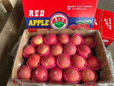 แอปเปิ้ล Red Apple  (ตรา 555 กล่องแดง, ตรา 333 กล่องฟ้า) แอปเปิ้ลแดง  24, 28, 32 ลูก/ลัง  นำเข้าจากจีน