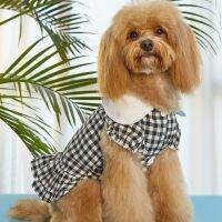 Summer Pet Clothes Puppy Dresses Daisy Skirt for Dog Kitty Plaid Costume for Teddy Chihuahua Golden Retriever Walking Out Coat Dresses