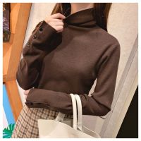 Cored Yarn High Collar Bottoming Sweater Female Pullover Rac