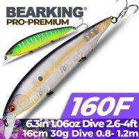 BEARKING 160มม. 30G ใหม่2022เหยื่อตกปลาร้อน20คละสี Minnow Crank ทังสเตนน้ำหนักระบบ Woler รุ่น Crank เหยื่อ