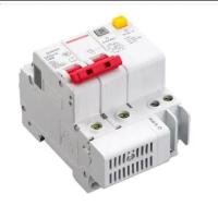 【LZ】 50A 2P SPD Residual Current Circuit Breaker With Overload Overvoltage RCBO RCCB With Lightning Protection MCB Leakage Protector