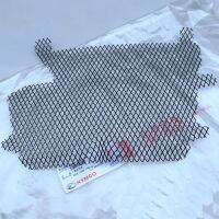 Motorcycle Front Lower Cover Wire Mesh Water Tank Protection Net for Kymco Ct 250 300