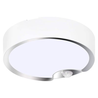 Motion Sensor Ceiling Lights Battery Powered Indoor / Outdoor LED Ceiling Lights for Corridor Laundry Room