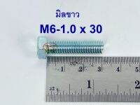 สกรูมิลขาวเกลียวตลอด ปะแจเบอร์10 ขนาด M6-1.0 x 30 (บรรจุ 100 ตัว)