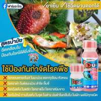 สารป้องกันกำจัดโรคพืชโอนะ (เฮกซาโครนาโซล) ขนาด 500cc