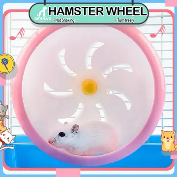 Hamster wheel 2024 for sale