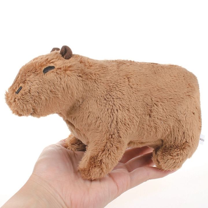 hot-dt-18cm-capybara-fluffy-soft-stuffed-kids-birthday-room