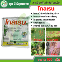 โกลเรน ขนาด 100 กรัม ตราหัวเสือลูกโลกไดเมโทมอร์ฟ + ไพราโคลสโตรบิน สารป้องกันกำจัดโรคพืช ราน้ำค้าง โรคใบไหม้