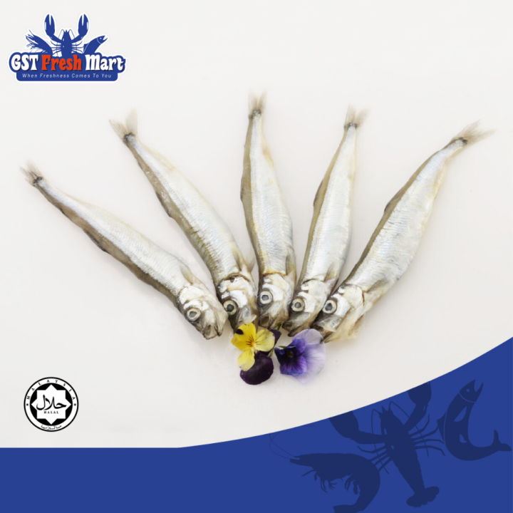 FROZEN FISH SHISHAMO FEMALE 8PCS/TRAY 多春鱼 GST FRESH MART Lazada