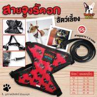 สายจูงสุนัข สายจูงรัดอก สายจูงแมว Doggy Style ลายDOG สีแดง SIZE SS รอบอก 8-12 นิ้ว โดย Yes Pet Shop