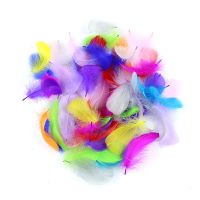 50pcs Plumes Feathers 3-5CM for Crafts diy Jewelry Accessories Soft Feather Wedding Decoration