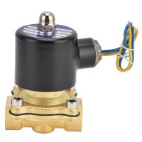 Normally Closed Electric Solenoid Valve 2W‑160‑15 Solenoid Valve Brass for Water Air Gas Valves