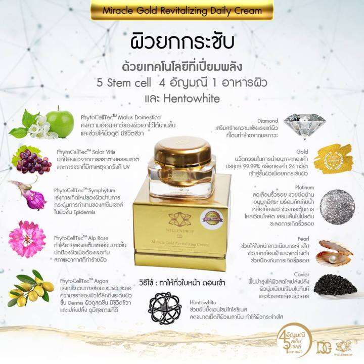 dg-miracle-gold-firming-night-cream-50ml-วิลเลนดรอฟ-ดีจี-มิราเคิล-โกลด์-เฟิร์มมิ่ง-ไนท์-ครีม-50ml