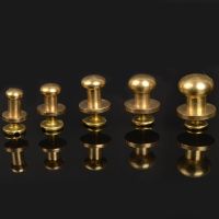 ☾✻ 5/6/7/8/9/10MM 100 PURE Solid Brass Belt Screws Rivet Copper Knob Round Button Chicago Screw In Button Studs Leather craft DIY