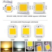 Led Cob 10W 20W 30W 50W 100W COB LED Chip DC 12V 32-36V Integrated Matrix Diode Beads DIY Floodlight Chip Spotlight High Power LED Bulbs