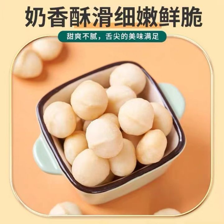 xbydzsw-new-goods-macadamia-shell-cream-flavored-nuts-available-500g