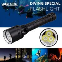 3 Light Purple Diving Light LED Scuba Purple Light Underwater 200M Ultraviolet Lantern Dive Aluminum Torch 395nm UV Flashlight Rechargeable Flashlight