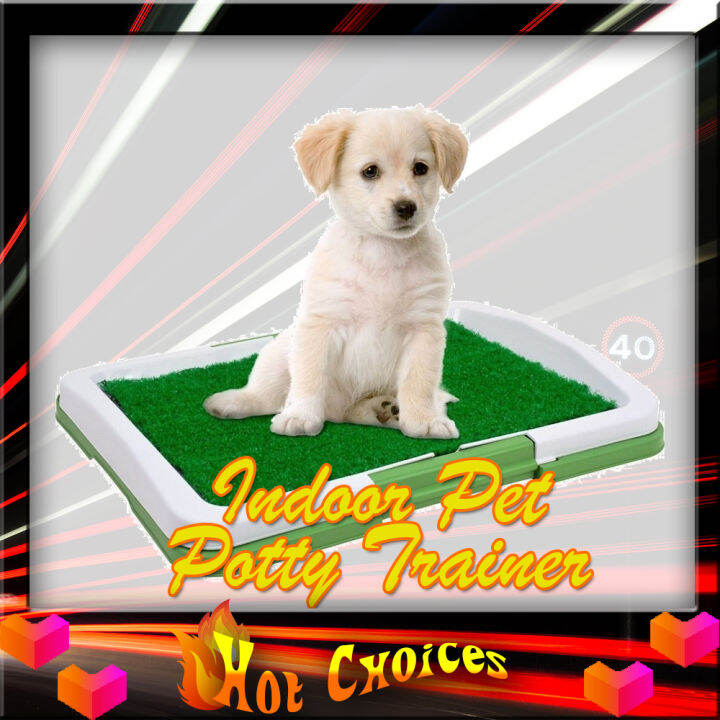 Perfect pets puppy potty 2024 pad