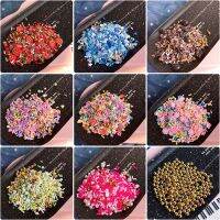 【CW】 Boxi20g  Polymer Clay Additives Supplies Fruit Beads SprinkleS Fluffy