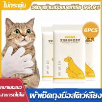 【Damaiii】เตรียมจัดส่ง 6pcs ถุงมือทำความสะอาดแมว ถุงมือสัตว์เลี้ยงแบบใช้แล้วทิ้ง ทิชชู่เปียกสัตว์เลี้ยง ดูแลผิวสุนัขและแมว