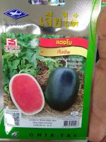 เมล็ดพันธุ์ แตงโม ทัมอัพ watermelon thumb up ขนาดผล 3-5 กิโลกรัม ผิวสีดำ มีลาย เนื้อแน่น สีแดง หวานกรอบ ดูแลน้อย ปลูกง่าย น้ำหนักดี ผลผลิตสูง