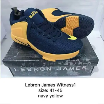 Blue LeBron James Shoes.